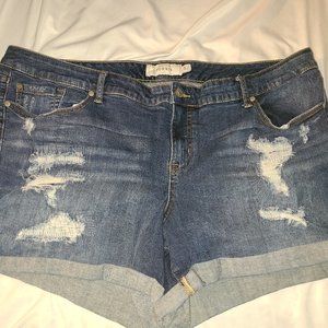 Torrid distressed mid folded shorts